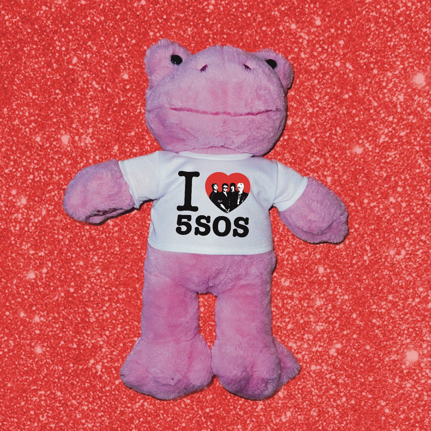 I heart 5 seconds bear shirt