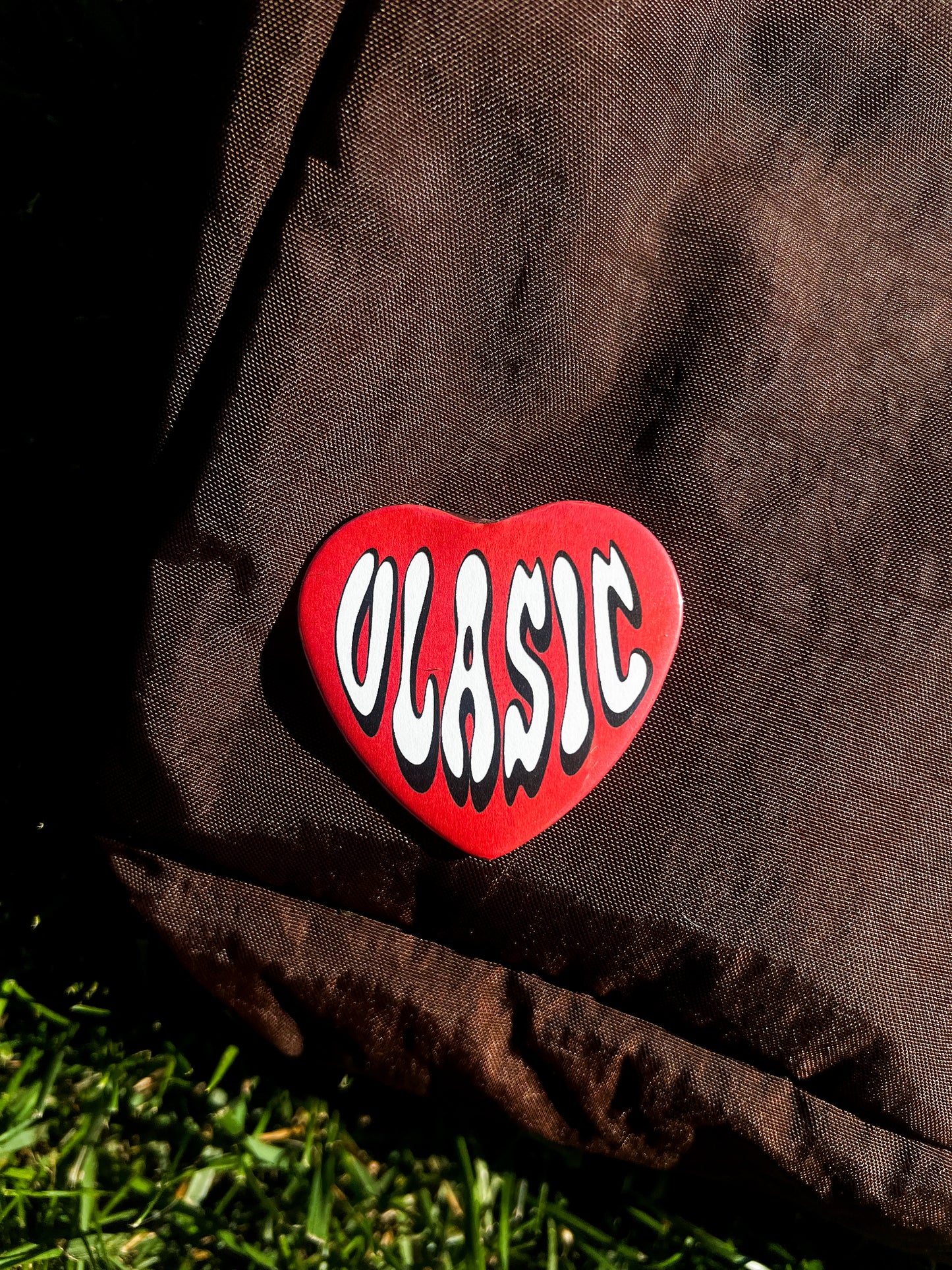 vlasic pin