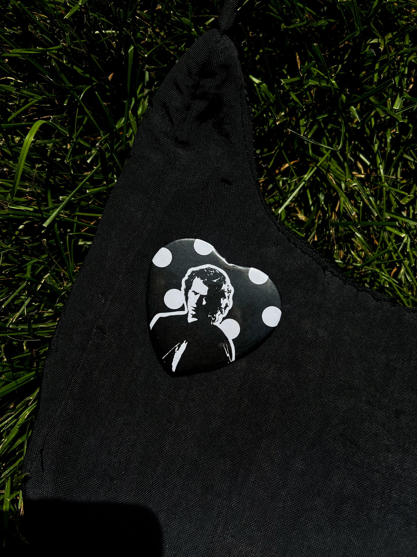 ani pin