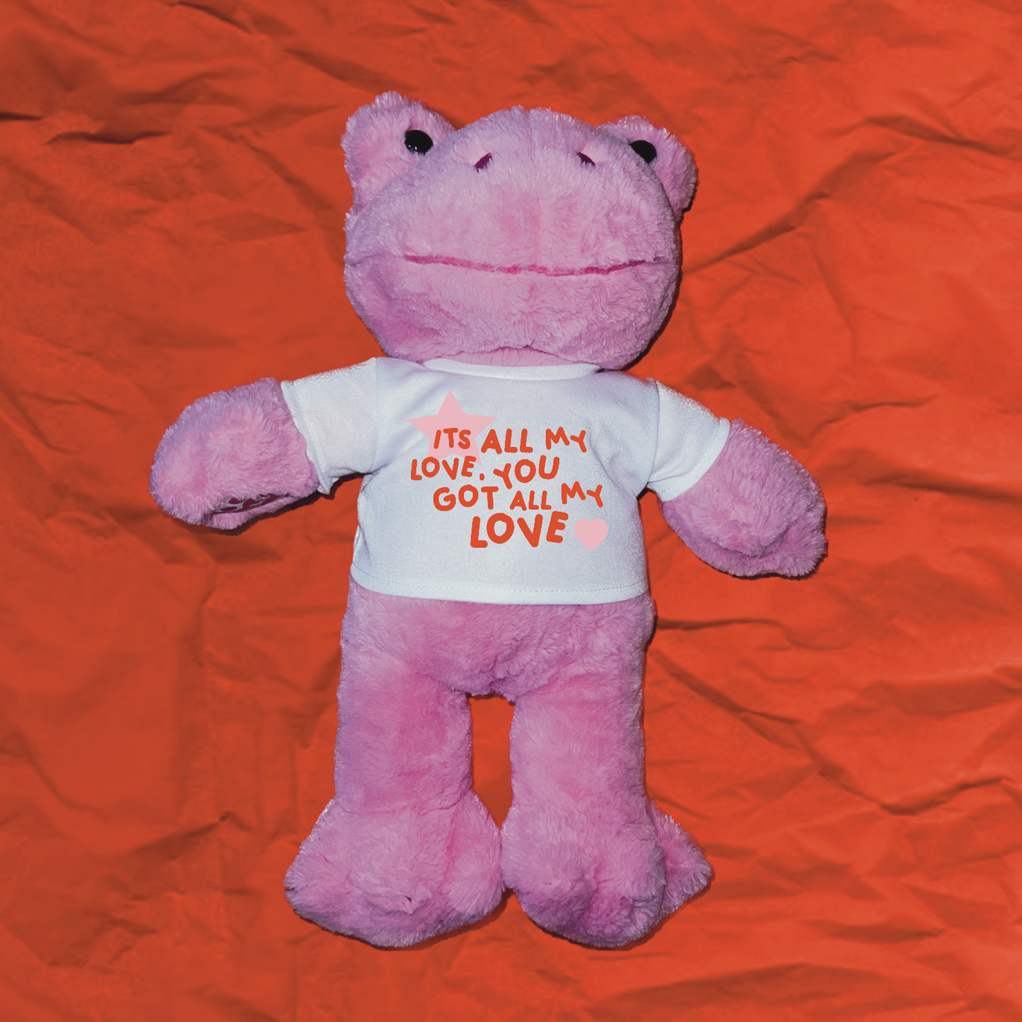 all my love bear shirt