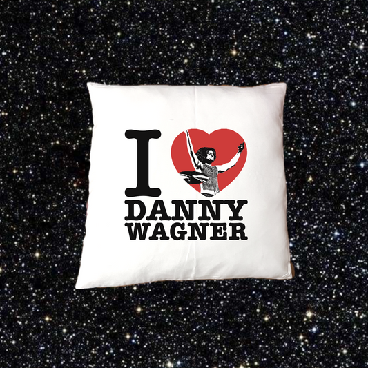 I heart Danny pillow cover